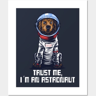 I am an Astronaut Posters and Art